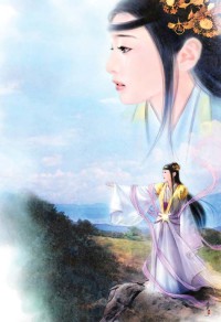 县令家的小夫郎